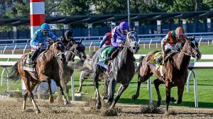 Belmont Park, Americas Best Racing Sunday Selections, Noel Michaels handicapping
